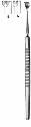 Text